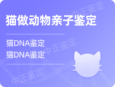 南通猫做动物亲子鉴定